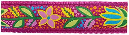 פרסטון בריסטול צווארון כלבי פרחים ומערכת רצועה - סרט פרחוני רב צבעוני בהיר על רשת ניילון ורוד פטל