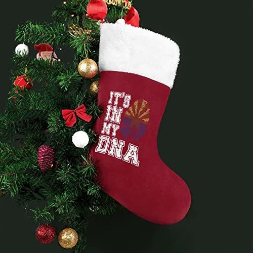 זה ב- DNA גרבי גרב גרבי חג המולד שלי עם אח קטיפה תלויים לעיצוב עץ חג המולד