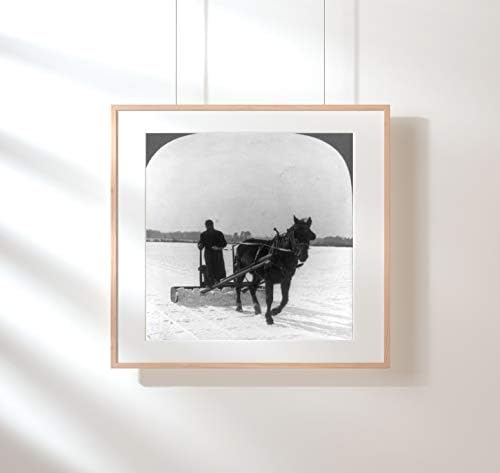 תמונות אינסופיות צילום: קצירת קרח / אגם קונאוט, פנסילבניה / 1907 / רפרודוקציה של תמונות היסטוריות