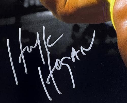 Hulk Hogan חתם על חולצת WWE 16x20 WWE RIP צילום IGNSTING JSA AF39272 - תמונות היאבקות עם חתימה