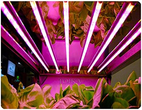 טויקה 75 מארז 8 4 רגל לד לגדול אורות צינור משולב 4 רגל 20 וואט, הוביל צמח גדל אור גוף משולב לצמחים מקורה ירקות ופרחים, גינה, הידרופוני או חממה