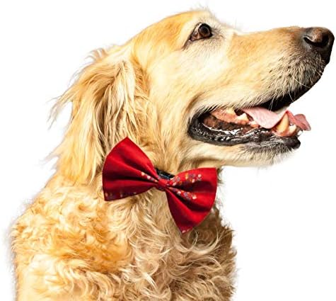 עניבת כלב חיות מחמד וחתול עניבה 'כותנה פרחונית אדומה מודפסת' קל לשימוש במתנת רצועה אלסטית אנטי-חוטי לחיות מחמד כלבים וחתולים עניבת צעיף/L XL-RF2100007BT_L-XL
