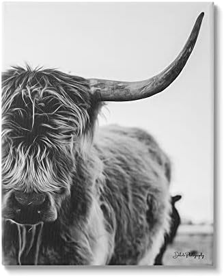 תעשיות סטופל היילנד קרן בקר בקר מקרוב צילום שלווה, עיצוב מאת דקוטה דינר