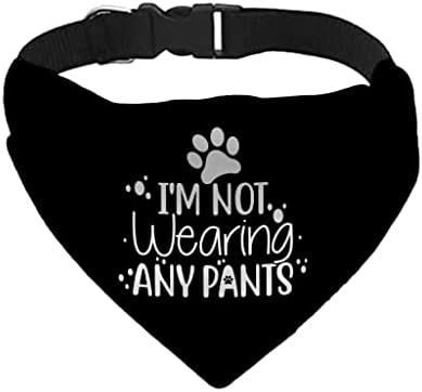 אני לא לובש שום מכנסי צווארון בנדנה לחיות מחמד - צווארון צעיף מצחיק - כלב גרפי בנדנה