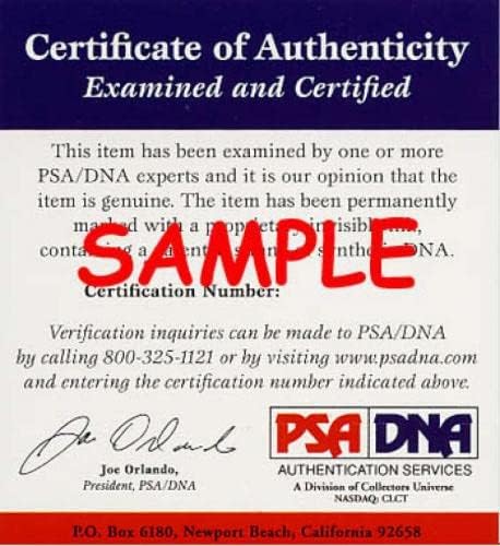 Ryne Sandberg PSA DNA חתום 8x10 גורי חתימות צילום - תמונות MLB עם חתימה