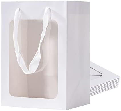 שקית מתנה לתכשיטים עם חלון, 10 יחידות תיק נייר לבן עם חלון שקוף, 9.8 איקס 5.1איקס 7.0 שקיות מתנה שקופות עם ידית, שקיות מתנה מנייר קראפט עם חלון שקוף