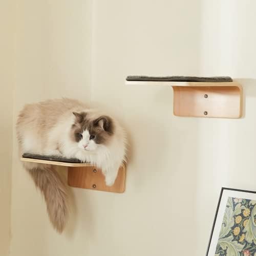 ליורסה 2 סט חתול קיר צעדים - עץ חתול טיפוס מדף קיר-חתול קיר מדרגות עם שריטות מחצלת - קיר רכוב חתול ריהוט לקפיצה, משחק, ורביצה
