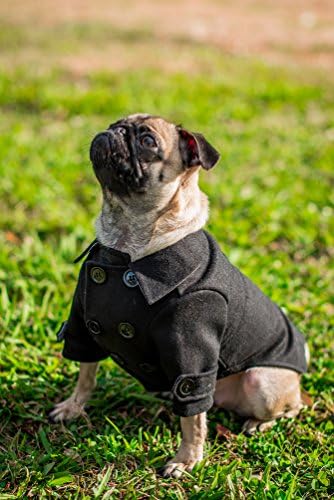 אלי כלב לובשת את ה- Wallstreet Peaoat עם מחזירי נראות ללילה ורצועות וו ולולאה מתכווננות - זמינות בגדלים קטנים במיוחד עד גדולים במיוחד. בגדי כלבי חורף נוחים
