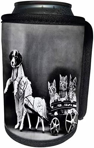 תמונת 3 של כלב צילום עתיק מושך עגלה עם שלושה חתולים - יכול לעטוף בקבוקים קיר יותר