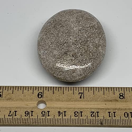70.2 גרם, 2.2 x1.8 x0.9 עצם דינוזאור צורת גלטת אבן דקל מלוטשת @morocco, קריסטל אנרגיה רייקי, מטאפיזי, B20423