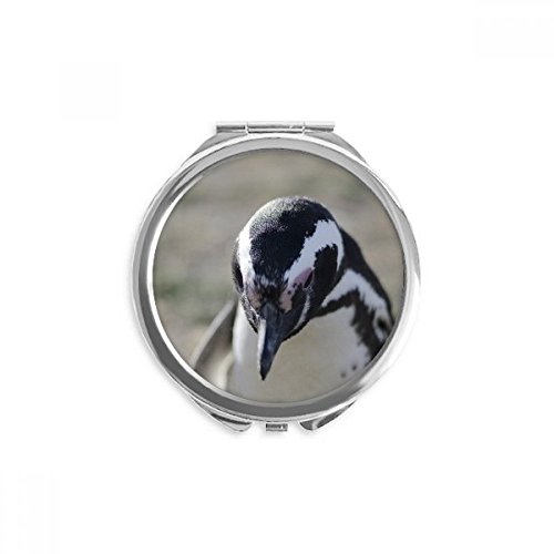 חמוד פינגווינים מדע טבע תמונה יד קומפקטי מראה עגול נייד כיס זכוכית